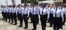 Agentes 02