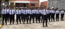 Agentes 05