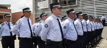 Agentes 06