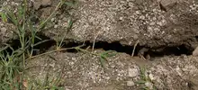 Zona riesgo Alto aguacatal 08