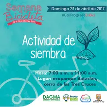 Siembra domingo