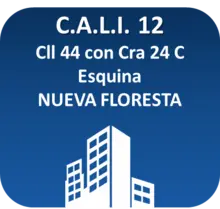 CALI 12