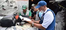 Bodegas de El Calvario, cerradas por incumplimiento