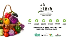 Mercado Consciente de alimentos saludables en “A la plaza”. 3