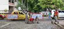 Adoquines 05