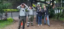 Centenares de aves surcaron el cielo caleño este fin de semana