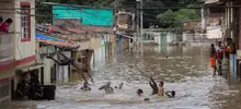 Suministro de agua potable y víveres en sectores afectados por alto caudal del río Cauca