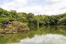 lago