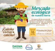Mercado Ecológico