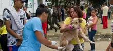 Feria de Servicios Comuna 4
