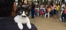 Feria de Servicios Comuna 4