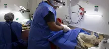 Feria de Servicios Comuna 4