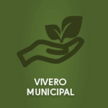 Vivero