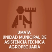 Umata