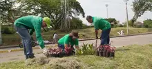 Gestores