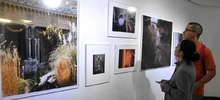 Exposiciones de Francia y Japón llegan al Centro Cultural de Cali