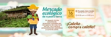 Mercado