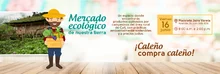 Mercado