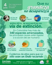 Vida Silvestre