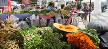 Mercado agroecológico con productos frescos y a precios justos