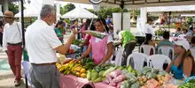 Mercado agroecológico con productos frescos y a precios justos