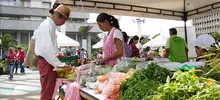 Mercado agroecológico con productos frescos y a precios justos