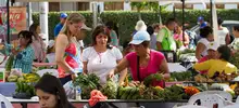Mercado agroecológico con productos frescos y a precios justos