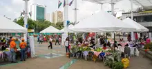 Mercado agroecológico con productos frescos y a precios justos