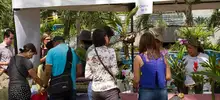 Mercado agroecológico con productos frescos y a precios justos