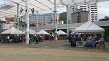 Mercado agroecológico 02