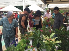 Mercado agroecológico 05
