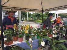 Mercado agroecológico 06