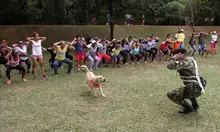 Soldado al parque 04