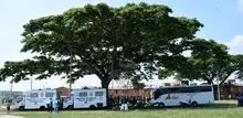 Feria de Servicios Gobernanza del Jarillon Rio Cauca Llano Verde