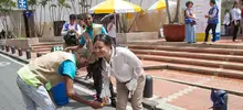 Cali epicentro 2017 17