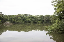 Los niños, los futuros conservadores del medio ambiente 