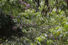Los niños, los futuros conservadores del medio ambiente 
