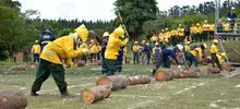 Bomberos y brigadistas forestales 10