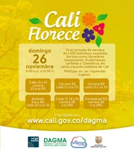 Cali Florece