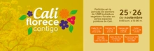 banner cali florece