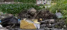 Basuras y alto volumen de lluvias ocasionan emergencias en la ciudad