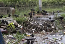Armitage insta a los caleños a no arrojar basuras en los canales de agua lluvia