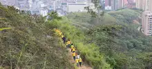 Siembra árboles 05