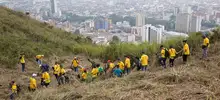 Siembra árboles 07