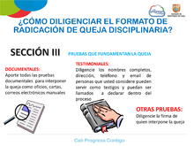 diligenciamiento 3