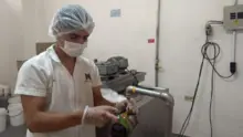 Fortalecimiento empresarial de la Subsecretaría TIO, está dando frutos