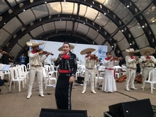 Más de 80 artistas celebraron el día de la música en Cali
