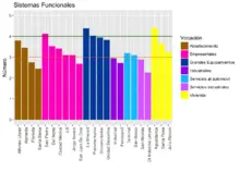 Consolidación sistema funcional
