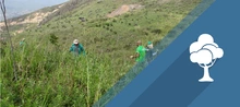 Ecoparques