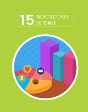 Cali en cifras - Indicadores de Cali